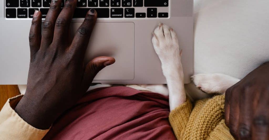 top-view-of-crop-unrecognizable-african-american-male-typing-on-netbook-with-paw-of-dog-aside-1