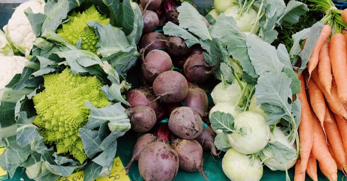 from-above-set-of-fresh-colorful-vegetables-placed-on-table-with-price-tag-in-grocery-market-at-dayt