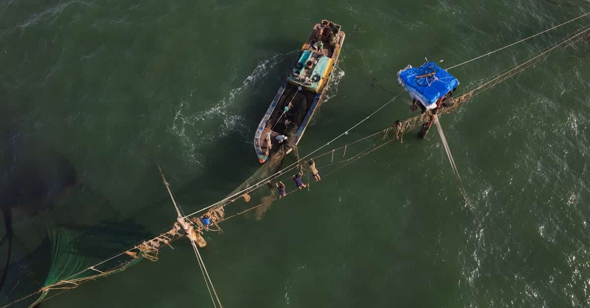 an-aerial-view-of-a-fishing-boat-in-the-water