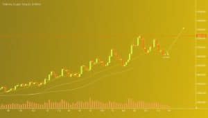floki inu price prediction, floki inu price, floki inu, will floki inu reach ,