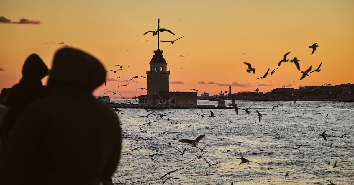 free stock photo of above sea abstract seascape boat ferry